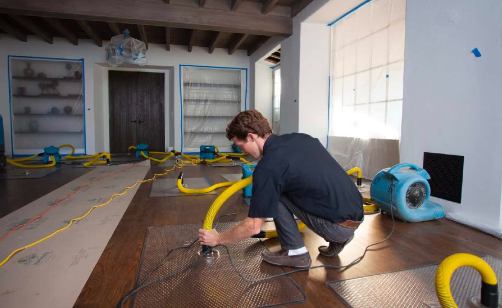 Why Professional Water Damage Restoration is Crucial for Your Home